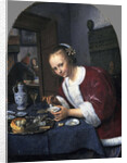 Girl with oysters by Jan Havicksz Steen