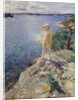 In the Skerries by Anders Leonard Zorn