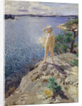 In the Skerries by Anders Leonard Zorn