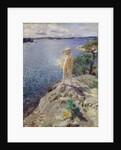 In the Skerries by Anders Leonard Zorn
