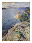 In the Skerries by Anders Leonard Zorn