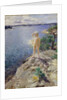 In the Skerries by Anders Leonard Zorn