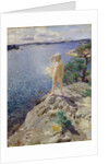 In the Skerries by Anders Leonard Zorn