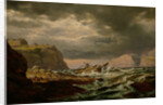 Shipwreck on the Norwegian Coast by Johan Christian Clausen Dahl