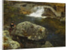 By the Mill Pond by Hans Gude