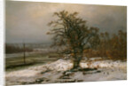 Oak Tree by the Elbe in Winter by Johan Christian Clausen Dahl