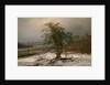 Oak Tree by the Elbe in Winter by Johan Christian Clausen Dahl