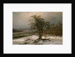 Oak Tree by the Elbe in Winter by Johan Christian Clausen Dahl