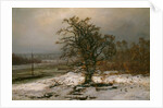 Oak Tree by the Elbe in Winter by Johan Christian Clausen Dahl