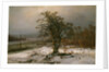Oak Tree by the Elbe in Winter by Johan Christian Clausen Dahl