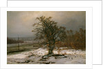 Oak Tree by the Elbe in Winter by Johan Christian Clausen Dahl
