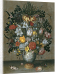 Chinese Vase with Flowers, Shells and Insects by Ambrosius Bosschaert the Elder