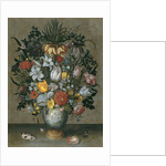 Chinese Vase with Flowers, Shells and Insects by Ambrosius Bosschaert the Elder