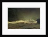 The Corpse by Felix Edouard Vallotton