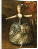 Fête Organized to Celebrate the Marriage of the Emperor Joseph II to Princess Marie-Josèphe of Bavar by Georg Weikert