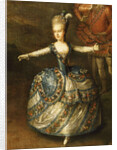 Fête Organized to Celebrate the Marriage of the Emperor Joseph II to Princess Marie-Josèphe of Bavar by Georg Weikert