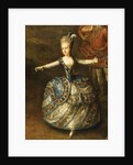 Fête Organized to Celebrate the Marriage of the Emperor Joseph II to Princess Marie-Josèphe of Bavar by Georg Weikert