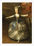 Fête Organized to Celebrate the Marriage of the Emperor Joseph II to Princess Marie-Josèphe of Bavar by Georg Weikert