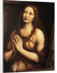 Repentant Mary Magdalene, First Half of 16th cen by Giampietrino
