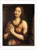 Repentant Mary Magdalene, First Half of 16th cen by Giampietrino
