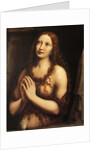 Repentant Mary Magdalene, First Half of 16th cen by Giampietrino