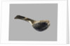 Spoon, 5th Millennium BC by Prehistoric Russian Culture