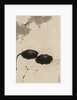 Hanshan and Shide, c. 1763 by Ito Jakuchu