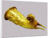 Rhyton (Drinking Horn), 5th-4th century BC by Scythian Art