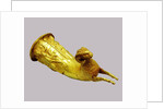 Rhyton (Drinking Horn), 5th-4th century BC by Scythian Art
