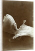 Loie Fuller in La danse Blanche, 1897 by Isaiah West Taber