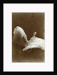 Loie Fuller in La danse Blanche, 1897 by Isaiah West Taber