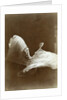 Loie Fuller in La danse Blanche, 1897 by Isaiah West Taber