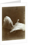 Loie Fuller in La danse Blanche, 1897 by Isaiah West Taber