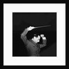 Composer Alexandre Tansman by Anonymous