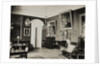 The Paskevich Residence in Gomel. Red living room, 1860s by Giovanni Bianchi