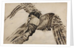 Flying Demon, 1890-1891 by Mikhail Alexandrovich Vrubel