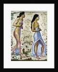 Two Women in Flowers (Emotion 1a), 1901-1906 by Ferdinand Hodler