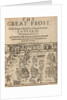 The great frost in London, 1608 by Anonymous