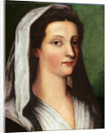 Portrait of Giulia Gonzaga, 16th century by Sebastiano del Piombo