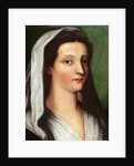 Portrait of Giulia Gonzaga, 16th century by Sebastiano del Piombo