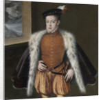 Don Carlos, Prince of Asturias, 1555-1559 by Alonso Sánchez Coello
