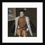 Don Carlos, Prince of Asturias, 1555-1559 by Alonso Sánchez Coello