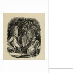 Group of Archdruids and Druids by Anonymous