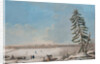 Saint Petersburg: View over the Neva River, Early 1800s by Anonymous