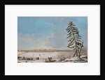 Saint Petersburg: View over the Neva River, Early 1800s by Anonymous