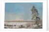 Saint Petersburg: View over the Neva River, Early 1800s by Anonymous