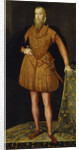 Portrait of the King Eric XIV of Sweden, 1561 by Steven van der Meulen