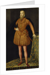 Portrait of the King Eric XIV of Sweden, 1561 by Steven van der Meulen