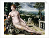 Venus Cythereia, 1561 by Jan Massys