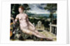 Venus Cythereia, 1561 by Jan Massys